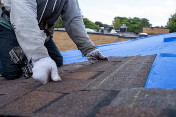 Best Roof Ventilation Installation  in Arvin, CA