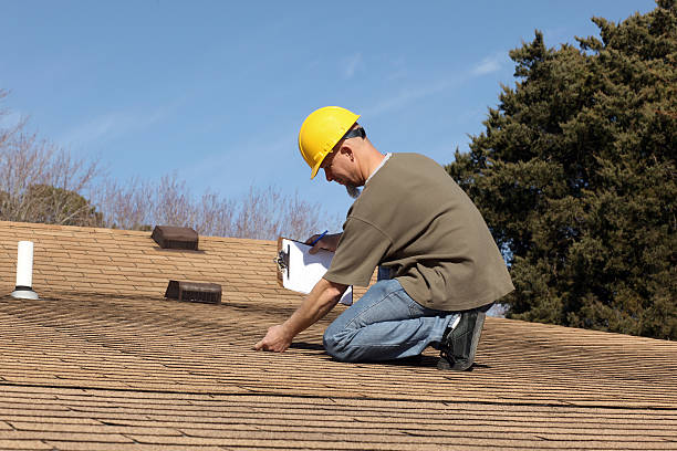 Best Roof Moss and Algae Removal  in Arvin, CA